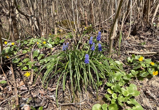 20220325073946-bd76849f